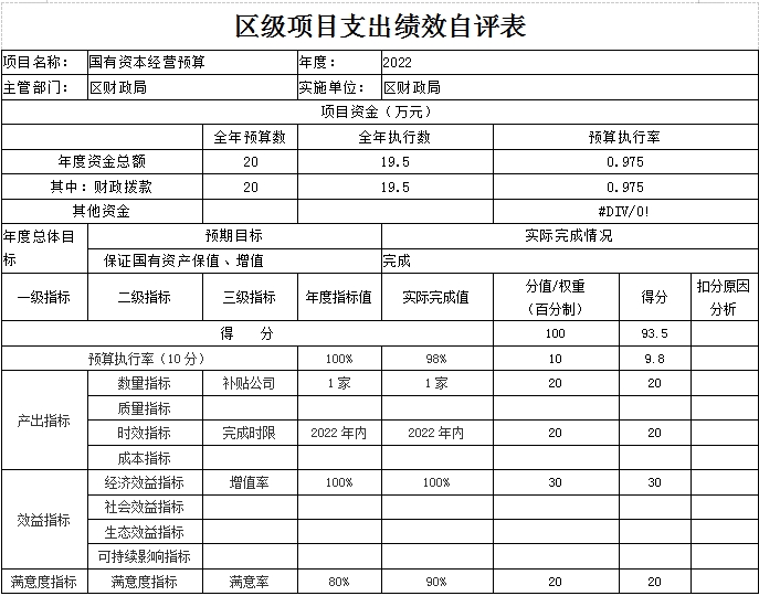 区级项目支出绩效自评表（国有资本经营预算）