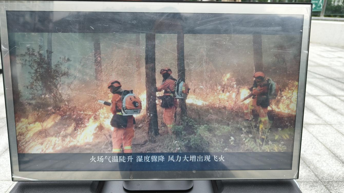 播放森林防灭火警示教育视频