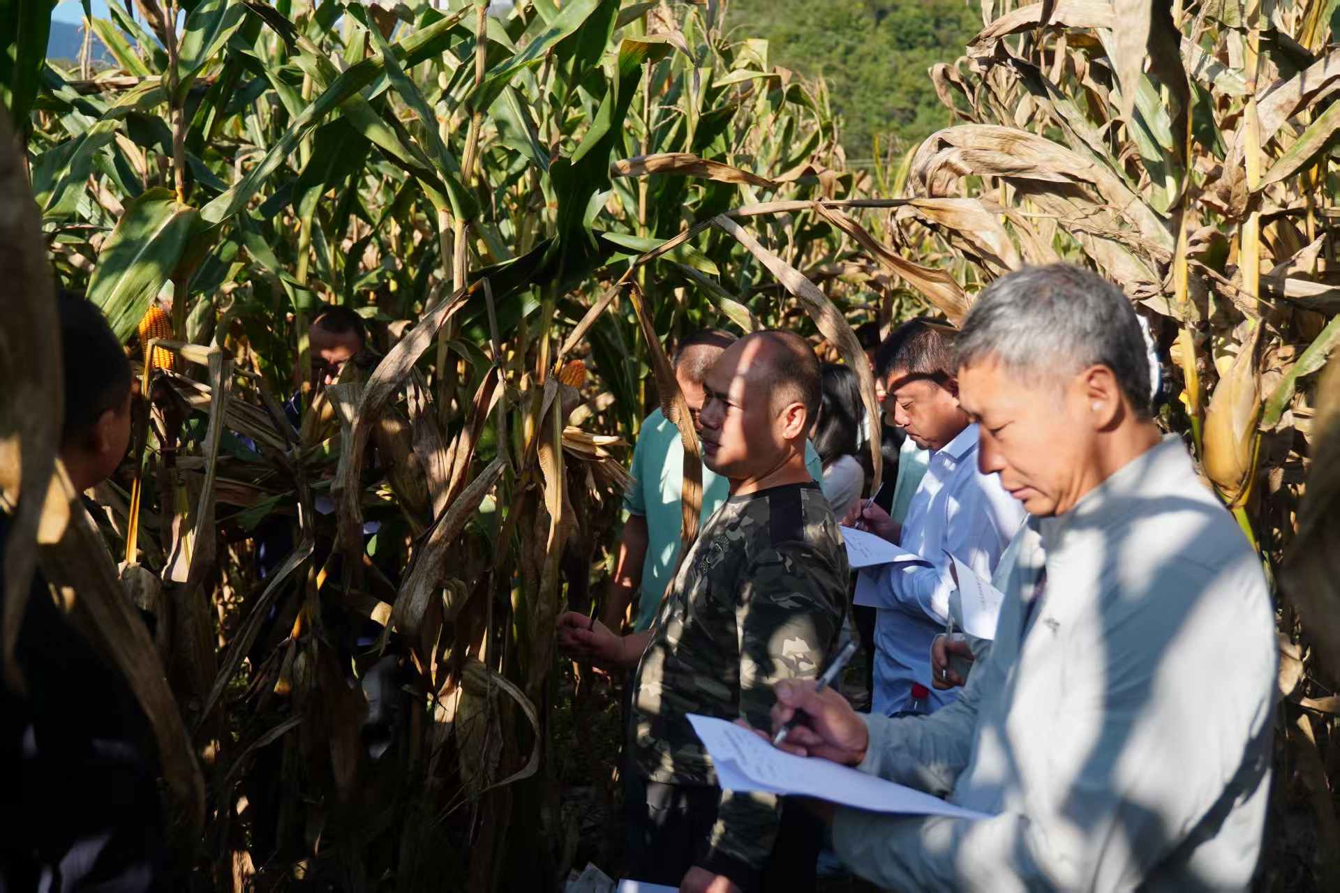 /website-webapp/ewebeditor/uploadfile/图片3