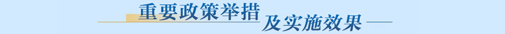 重要政策举措及实施效果