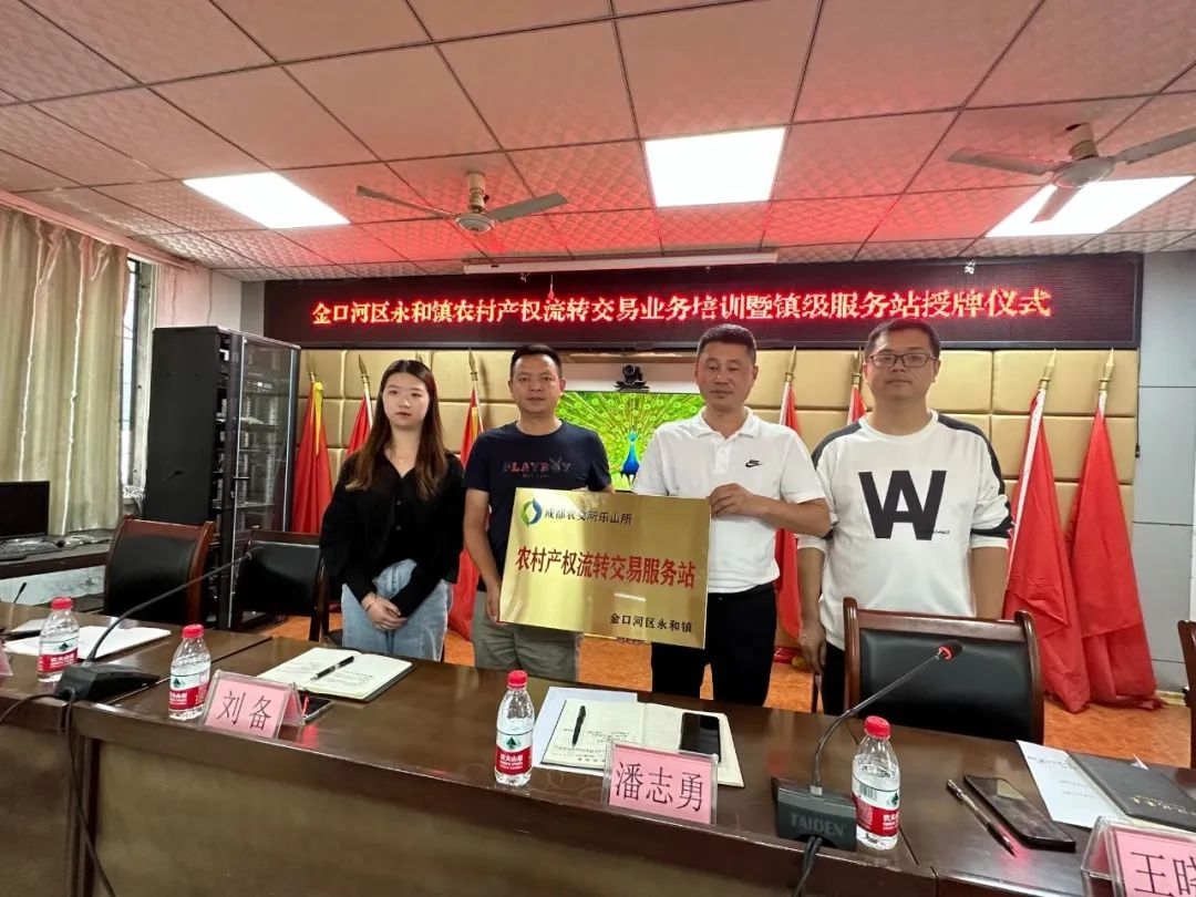 图片19