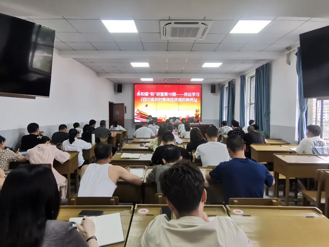 图片16
