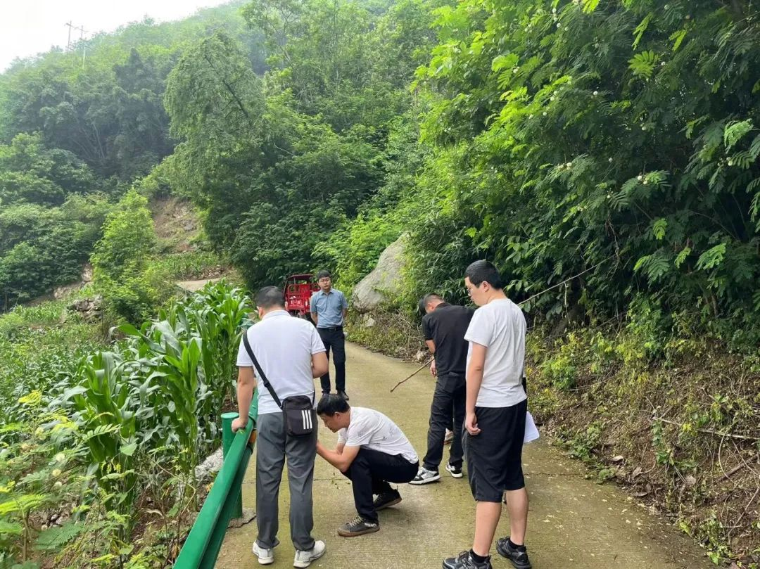 图片31