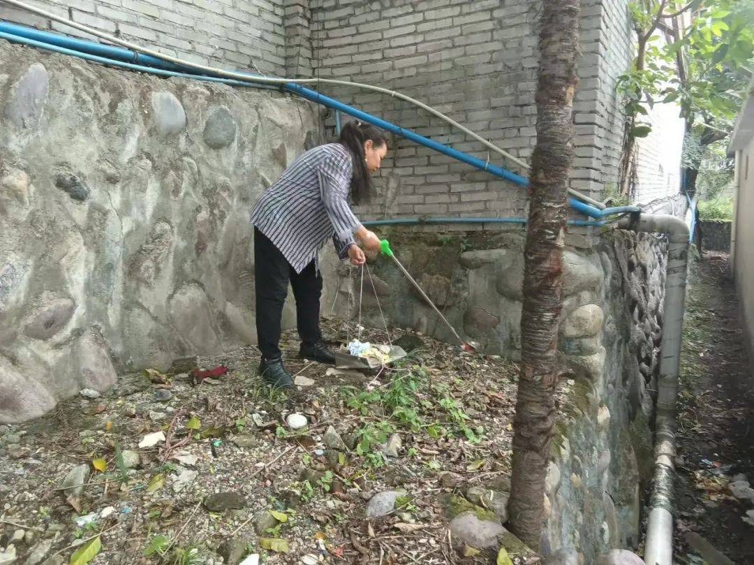 图片30