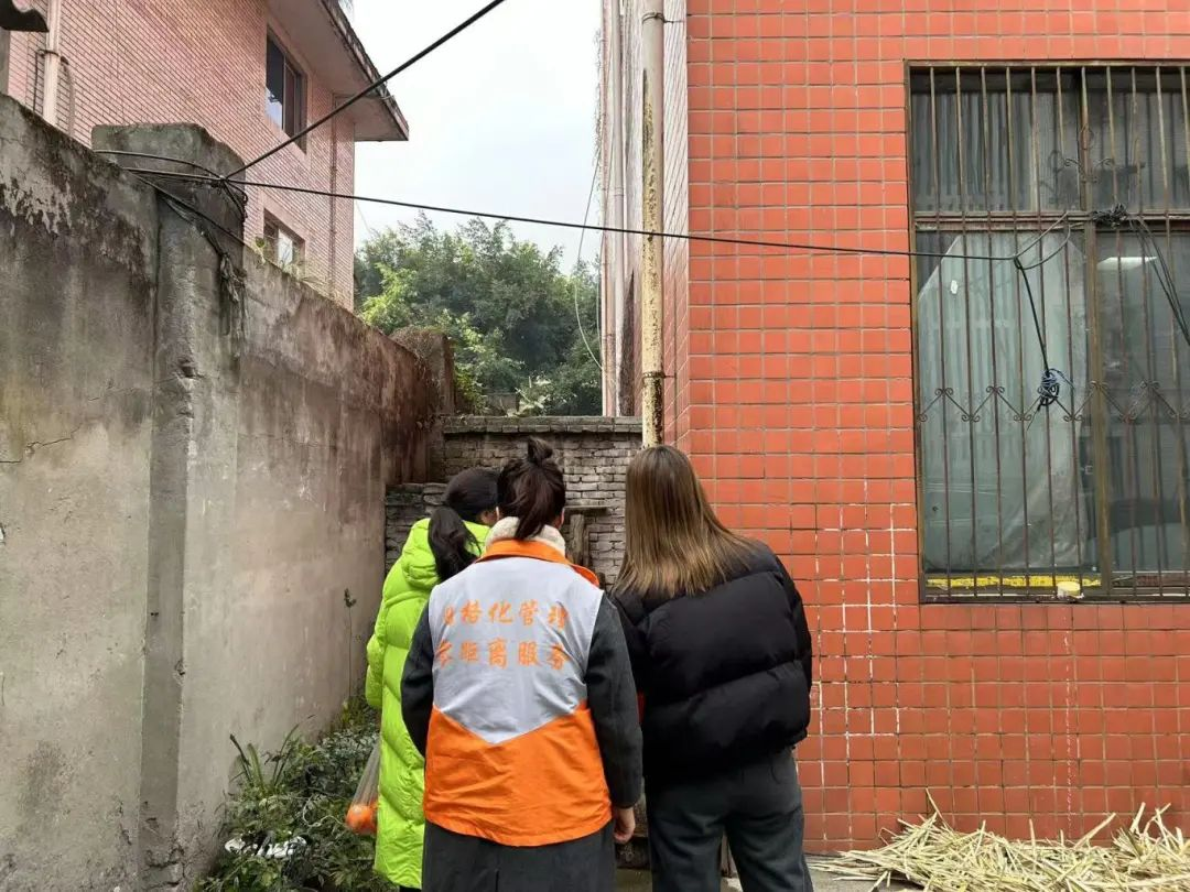 图片18
