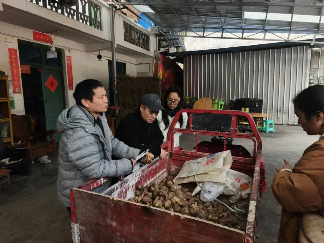 图片12