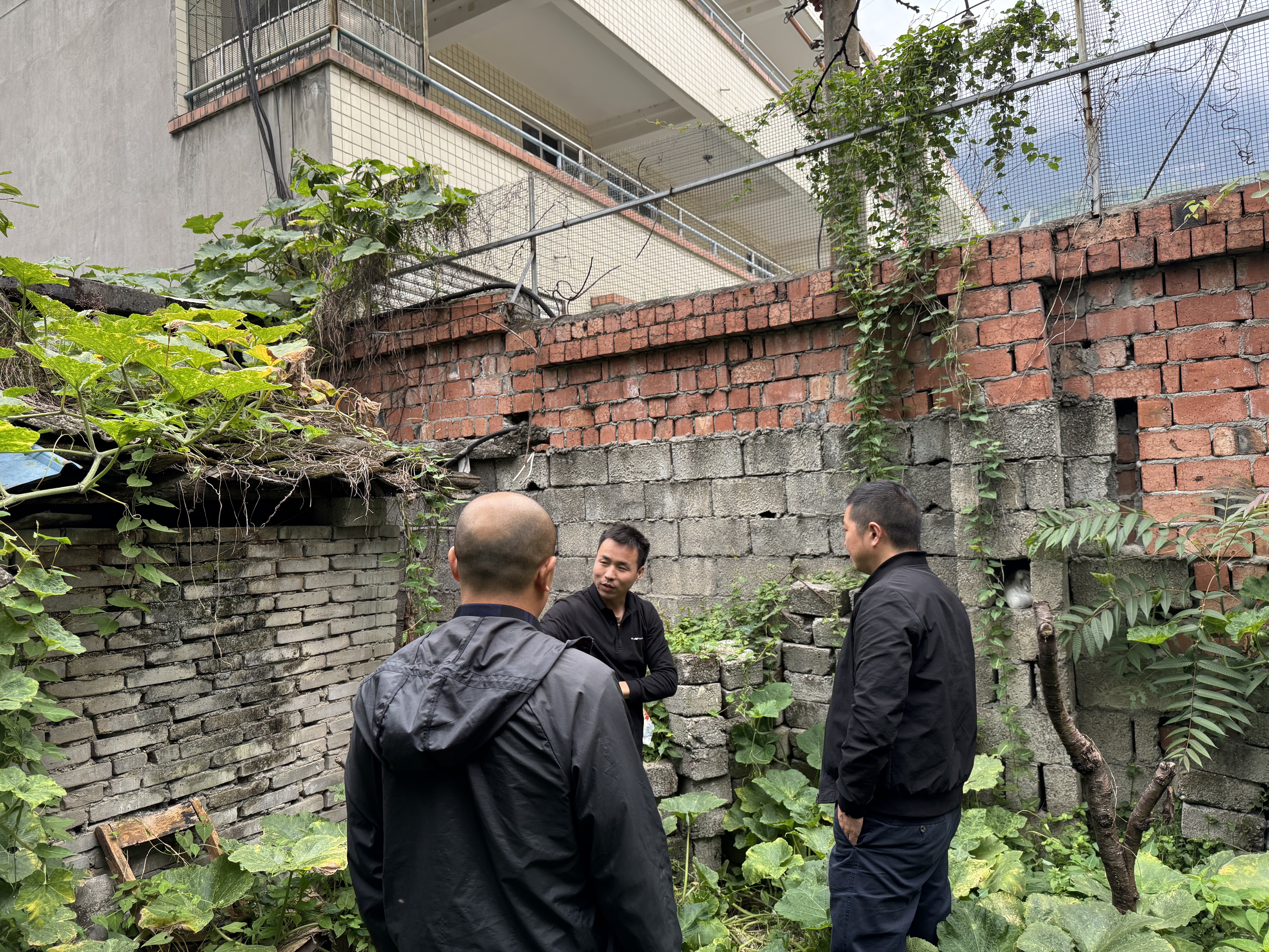 微信图片_20251028165549_1419_90