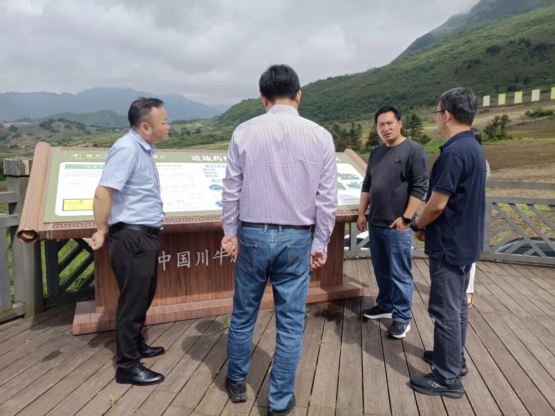 2026年5月20日，区委常委、区委统战部部长张翼华，区委常委、区政府党组成员、副区长程绪平带领浙江震元股份有限公司到永胜乡实地考察川牛膝中药材现代农业园区种植基地。