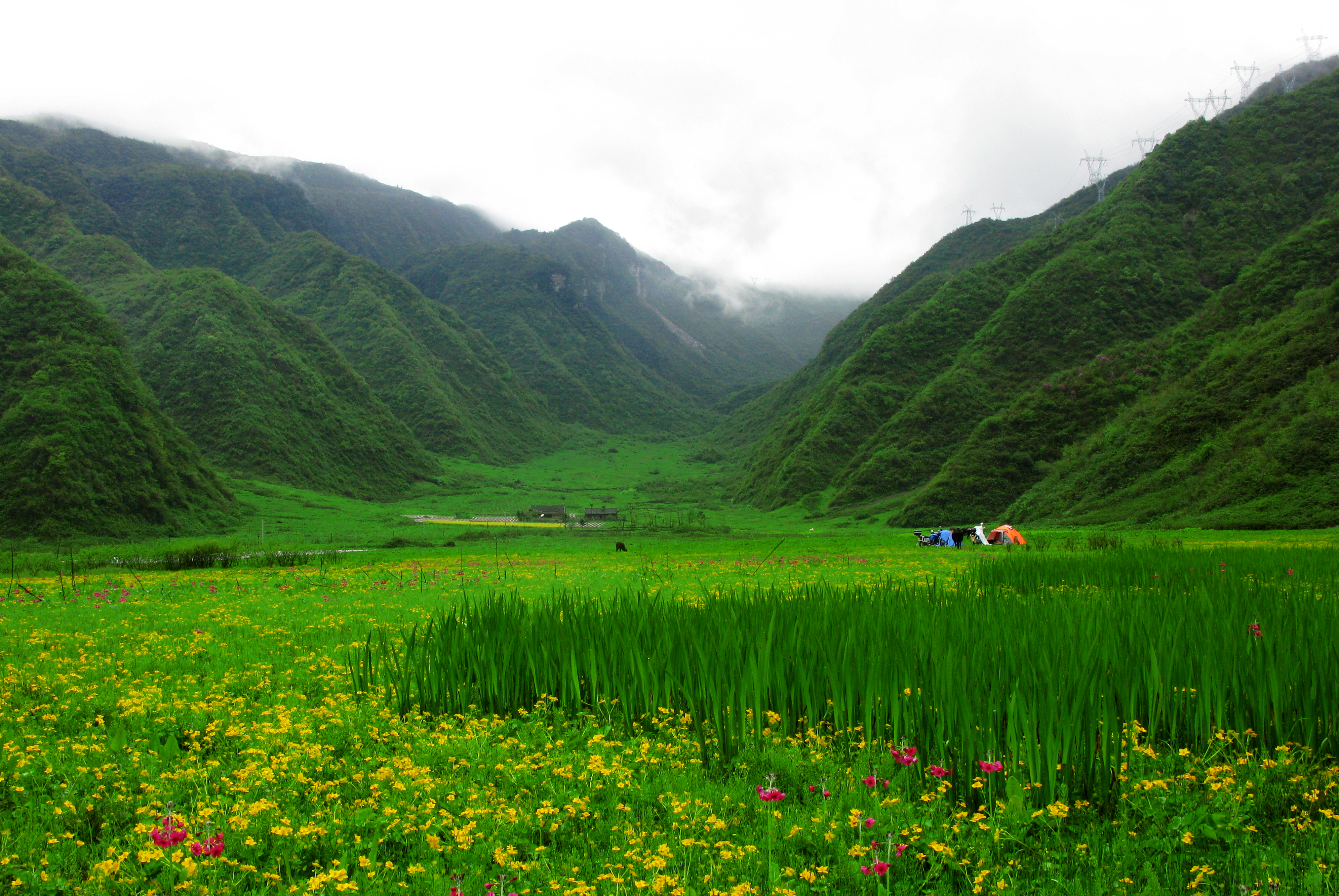 大瓦山湿地