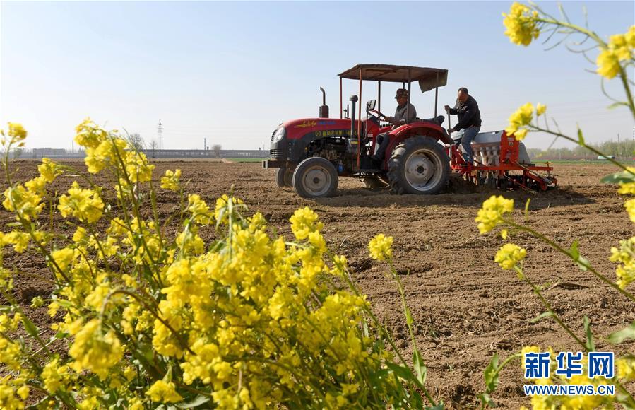 ���۽��й��������㡤ͼ�Ļ�������5����۸�������չ�����ȶ��������ӹ�����ṹ�Ըĸ￴�й������¶���